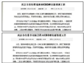 雙胞胎報道