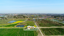 賦能產(chǎn)業(yè)振興，東方田園農(nóng)業(yè)發(fā)展有限公司全面推進運營業(yè)務(wù)