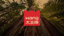 大王椰LOGO煥新背后，如何打造年輕人的品牌！